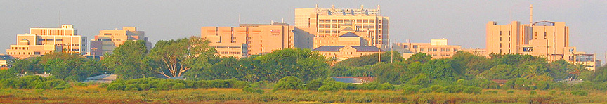 Galveston Medical Center Complex