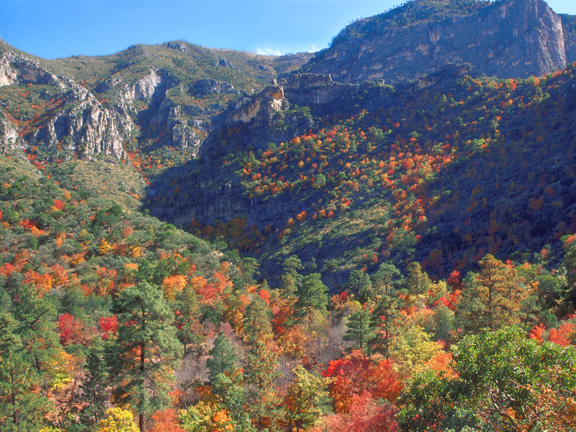 Guadalupe Mountains National Park: McKittrick Canyon