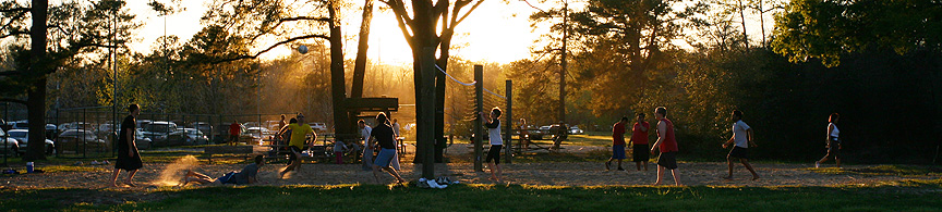 Volleyball Memorial Park