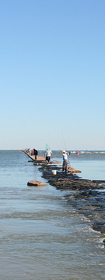 Photo #2, Fishermen South Jetty Galveston